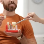 Dentist explaining implant procedure using a tooth model to patient.