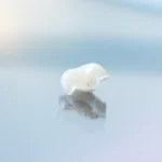 Ceramic tooth crown for dental restoration